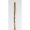 Brazos Brazos Walking Sticks 55 in. Brown Ironwood Walking Stick 602-3000-1158 - alternate 3